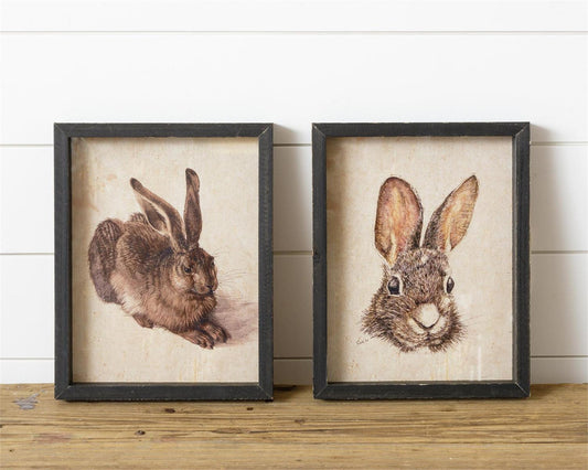 Framed Rabbit Print