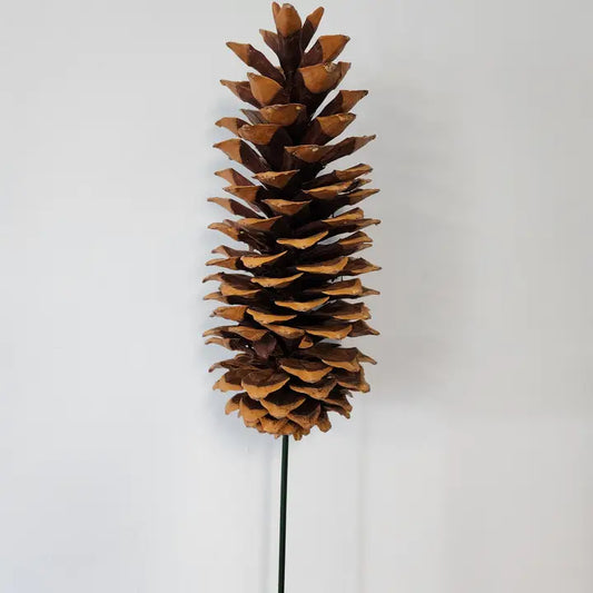 Sugar PINECONE PICK