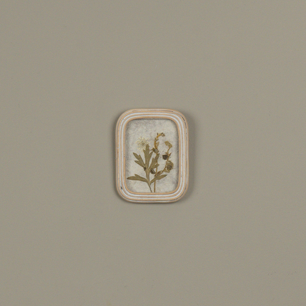 5.25" Pressed White Flower in Frame