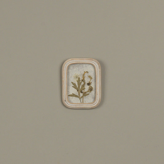 5.25" Pressed White Flower in Frame