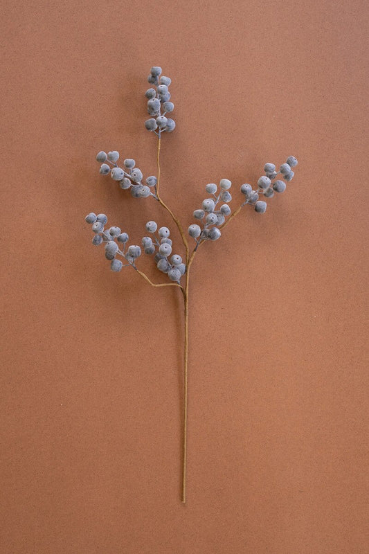 Botanica 9021