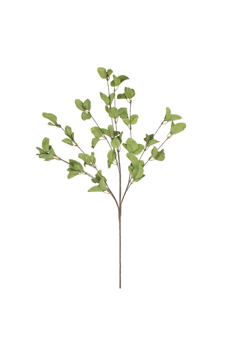 botanica #9035 26"