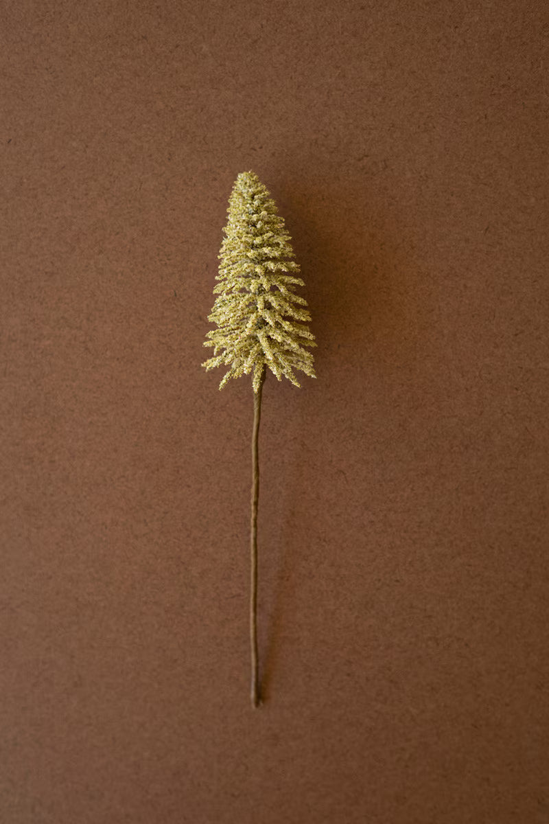 Small Dried Yellow Pick