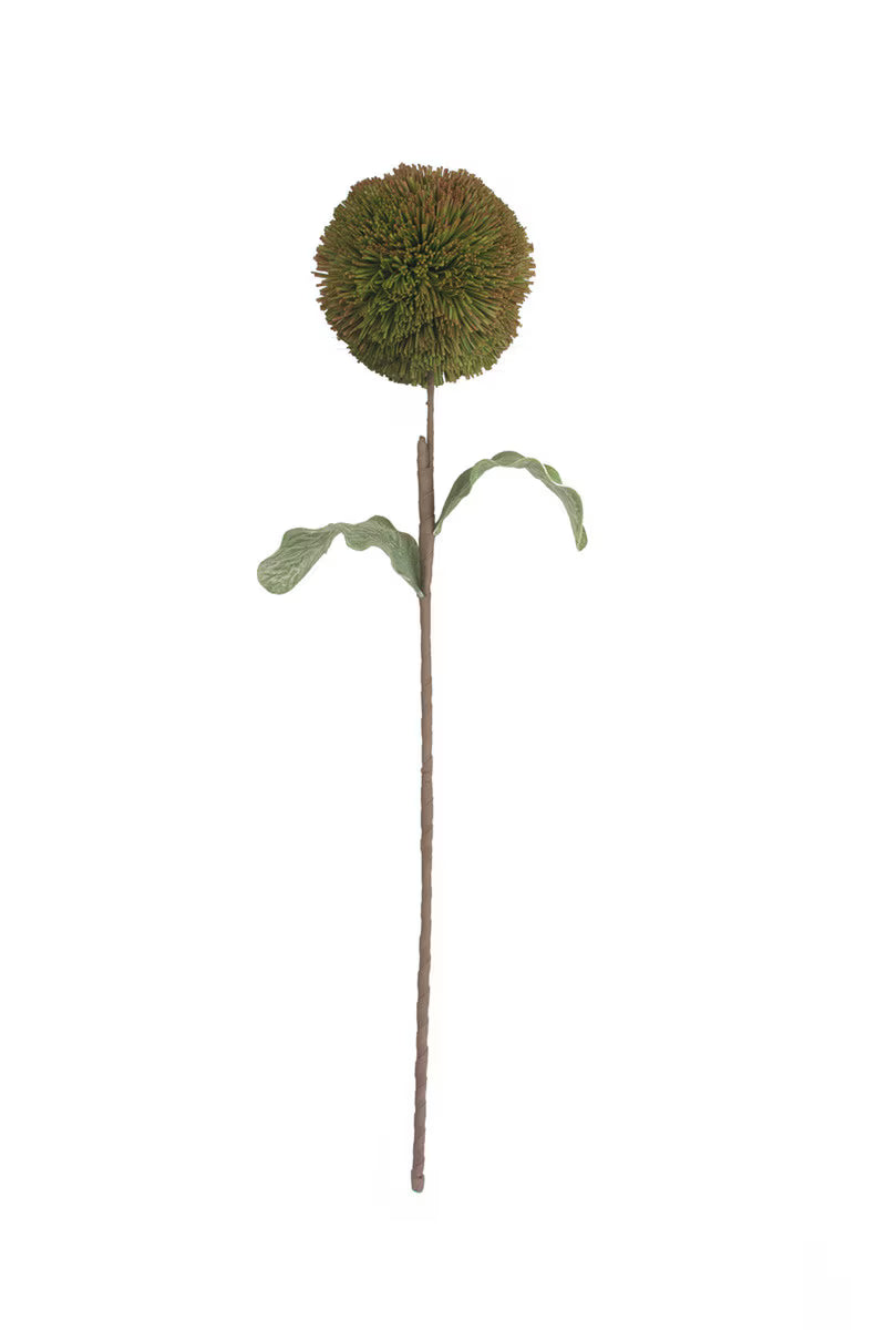 28" Botanica 3620