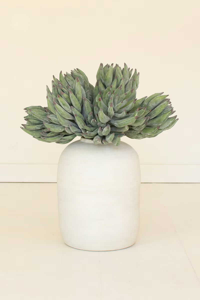botanica #2859 29"