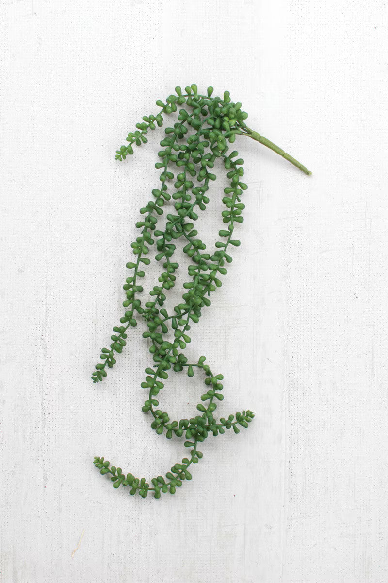 Fern Necklace Succulent 29in