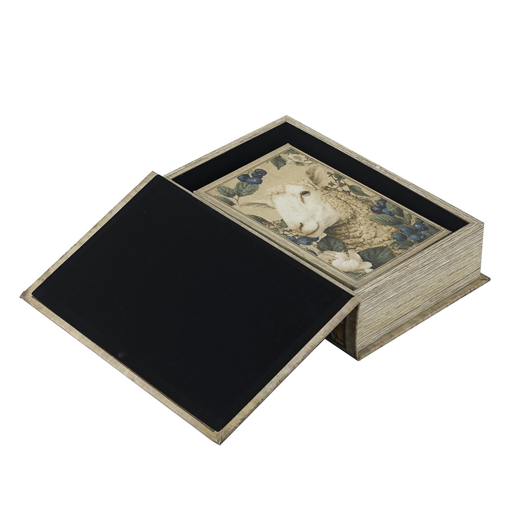 Book Storage Box