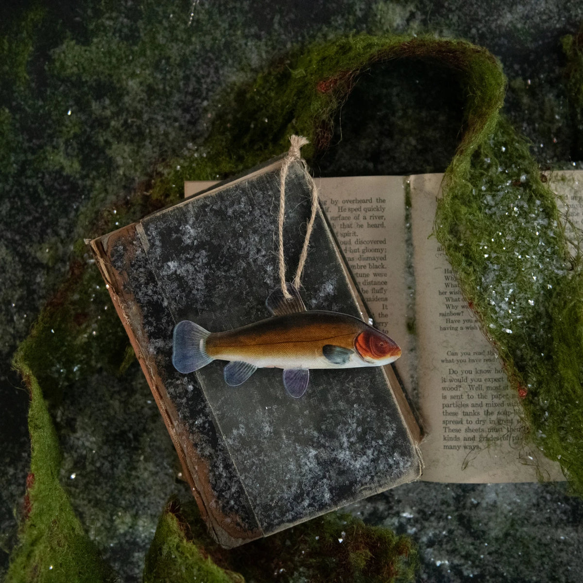 Tench Fish Ornament