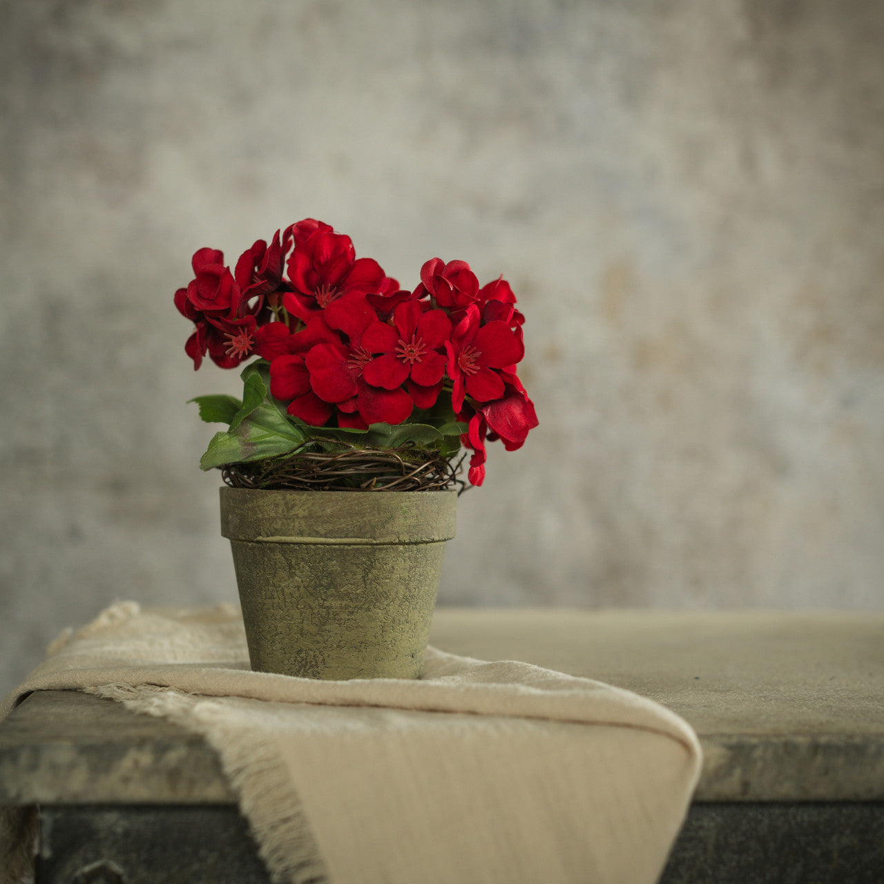 7" Potted Geranium