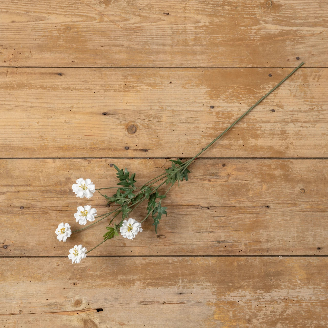 30" White Coreopsis Spray