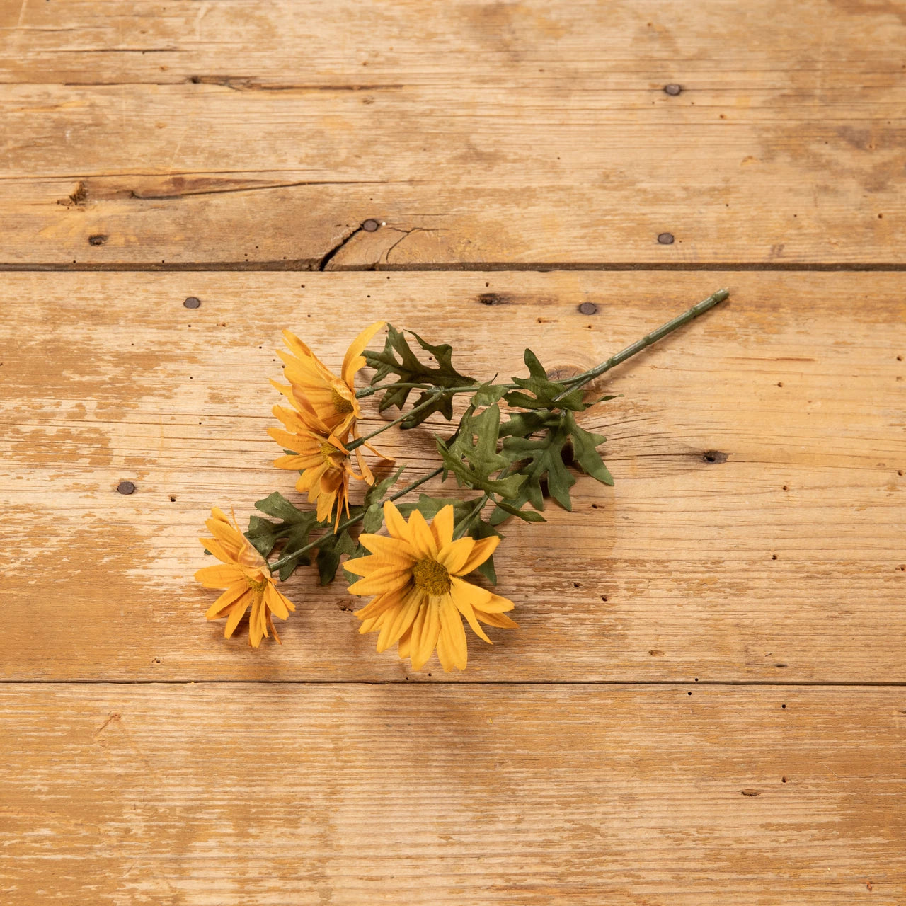 11" Old Gold Daisy Pick