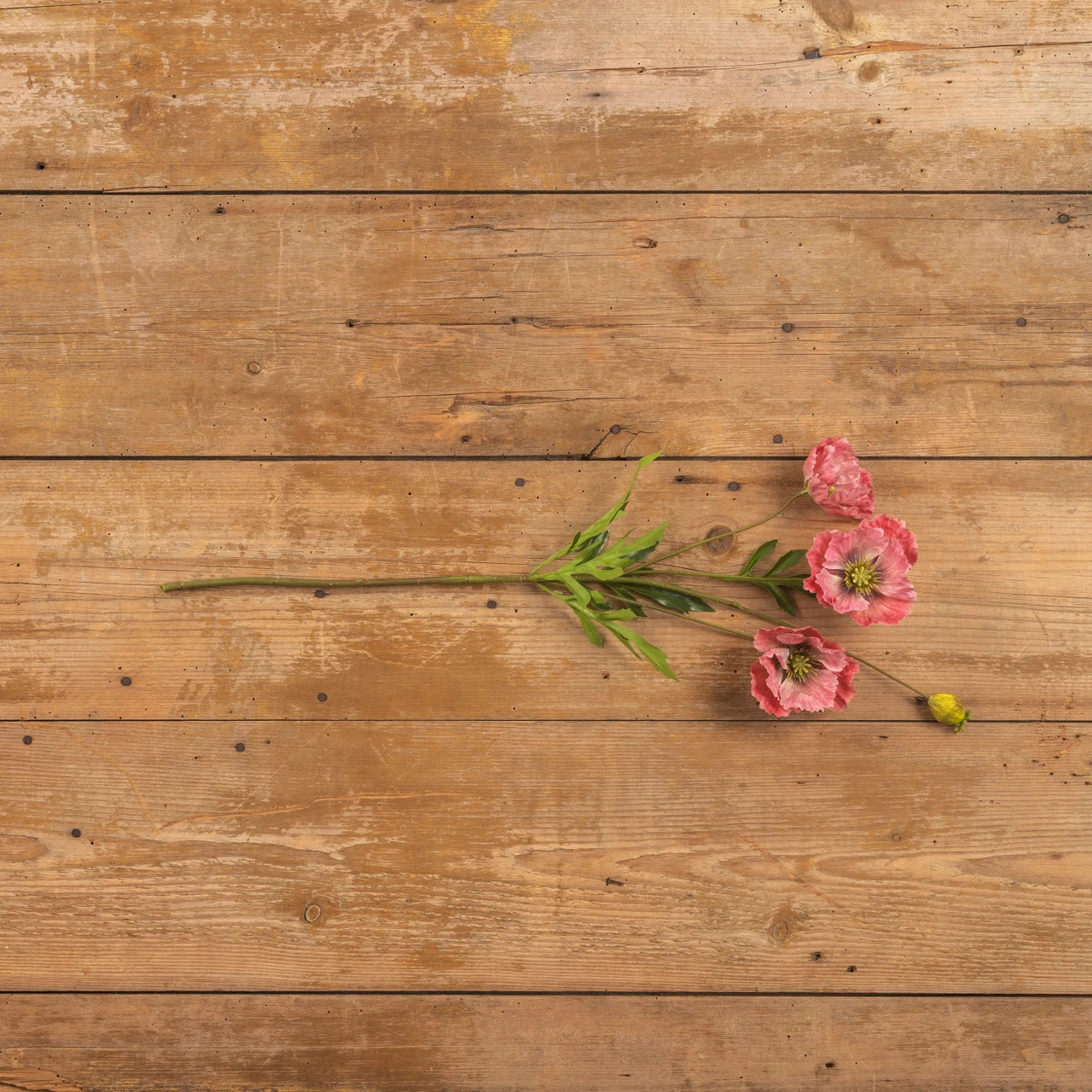 27" Pink Poppy Spray