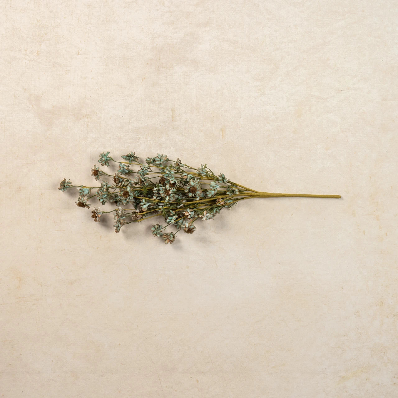 22" Blue & Brown Mini Daisy Bush