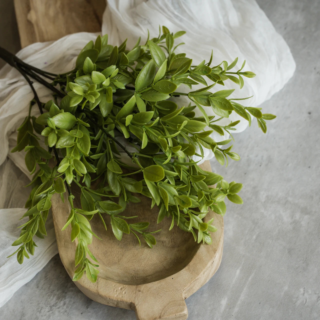14" Ruscus Bush