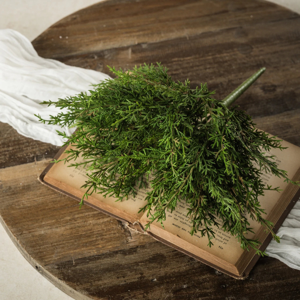 12" juniper Bush