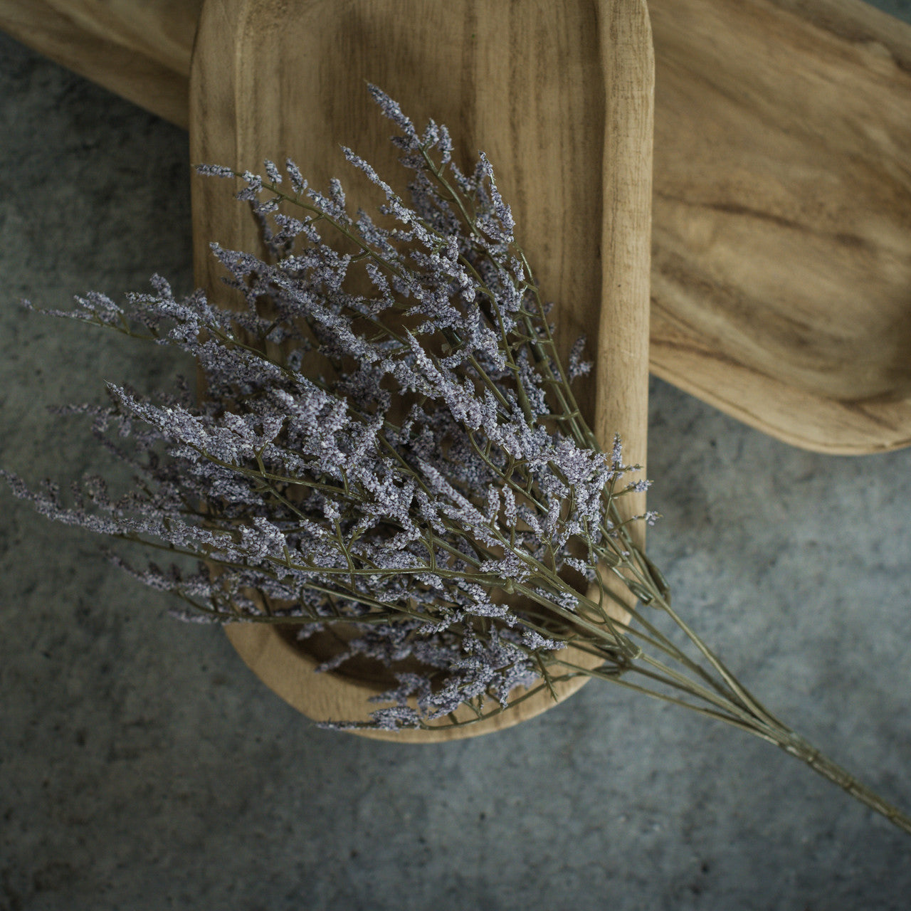 14.5" Dance Plant Bush
