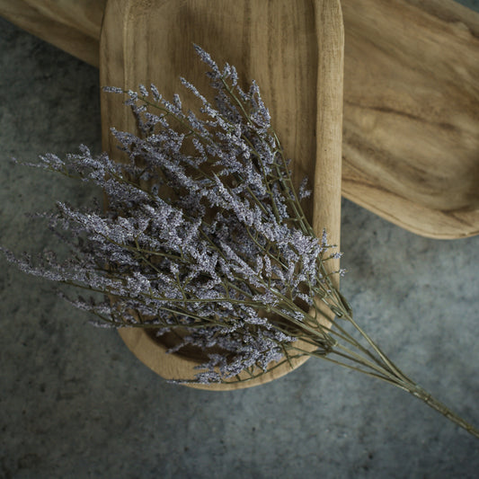 14.5" Dance Plant Bush