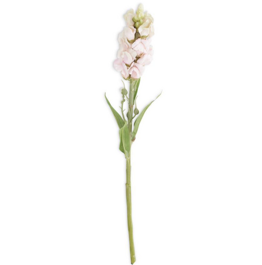 Snapdragon Flower Stem