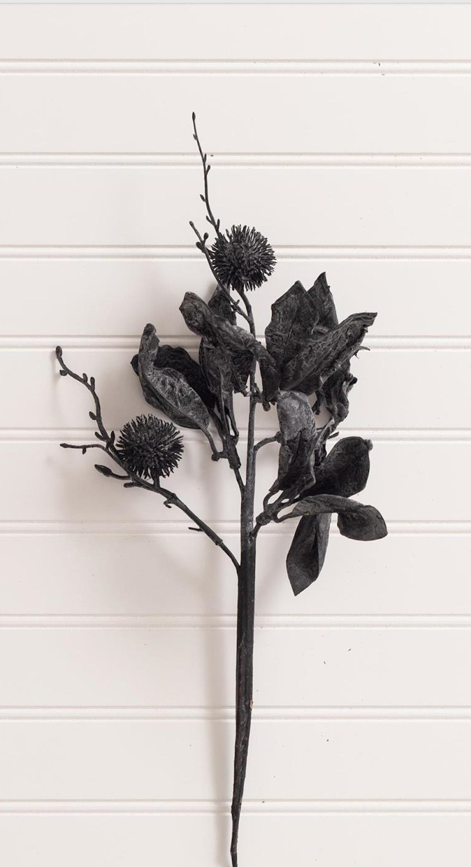 Black Thistle & Leaves