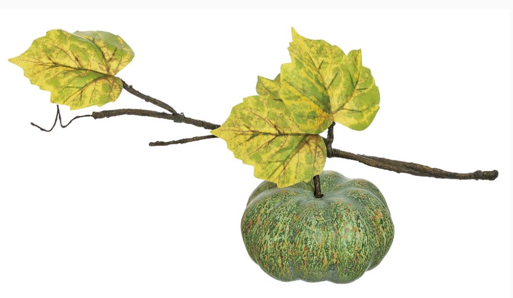 14" Green Pumpkin on Vine