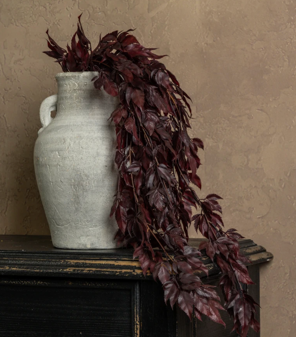 30" Burgundy Spikenard Bush