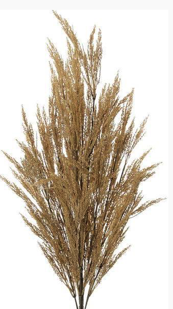 24" Wheat Bush