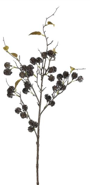 Pearl Fruit Branch Black