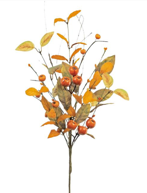Crater Berry Pick
