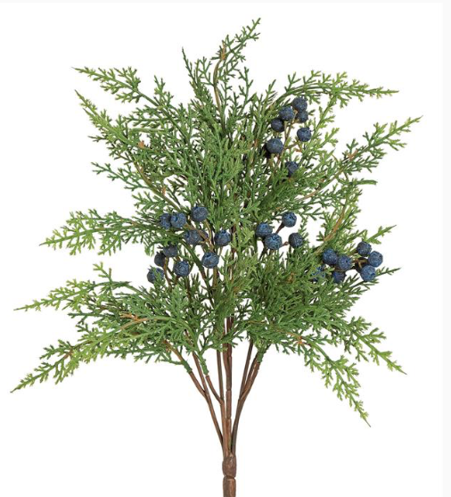 17"Soft Cedar Bush with Blue Berries