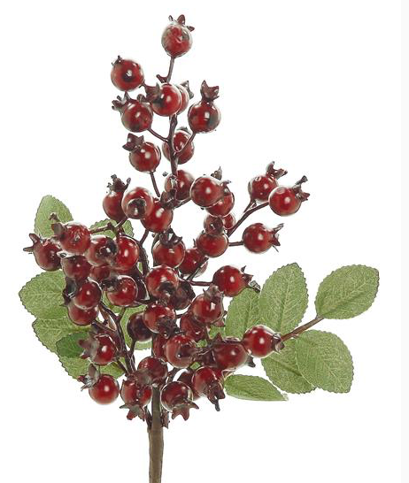 14" Red Rose Hip Pick