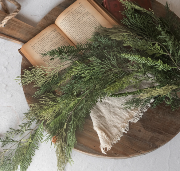 35" Cedar & Hemlock Hanging Vine