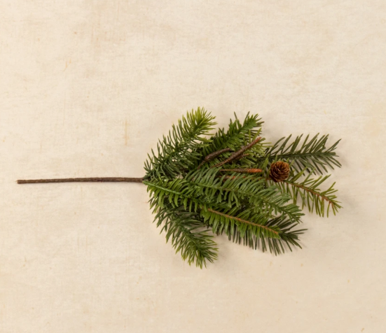 13.5" Hemlock & Pinecone Pick