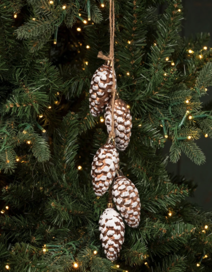 Snowy Gold Pinecone Bunch