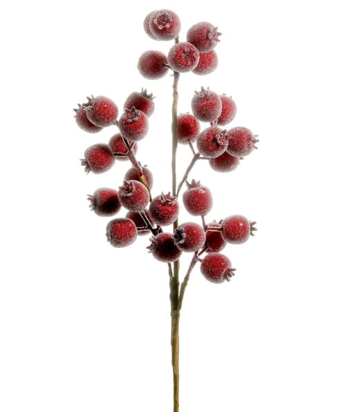 21" Iced Burgundy Berry Pod Spray