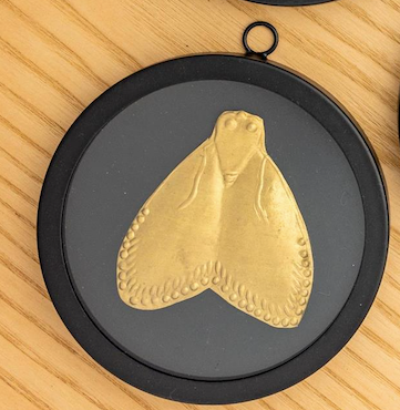 Black Round Framed Brass Bug