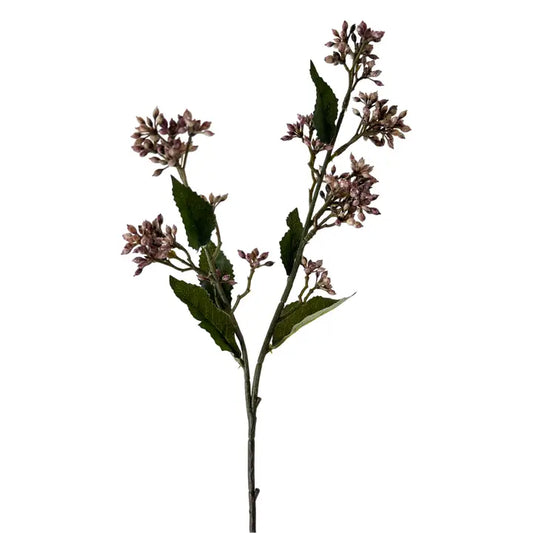 22" Eupatorium Purple