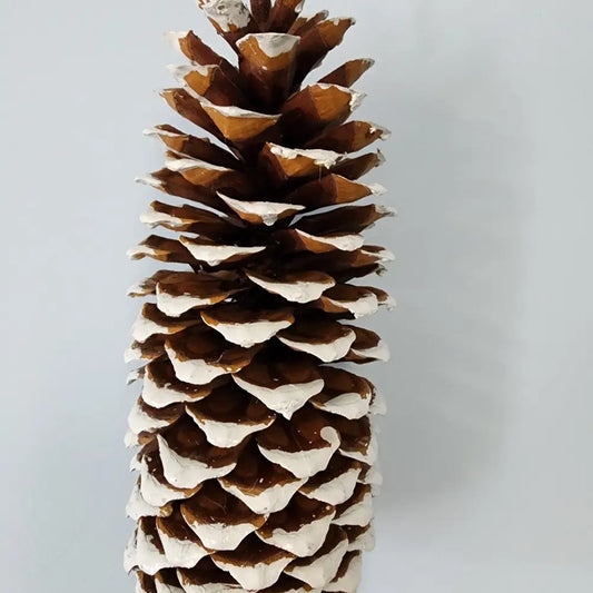 Snowy Sugar Pinecone