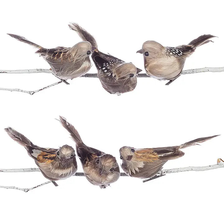 Brown Bird Clip
