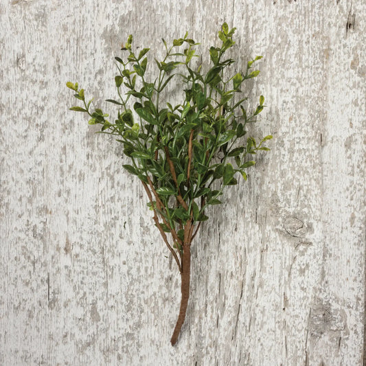 Boxwood Floral Pick
