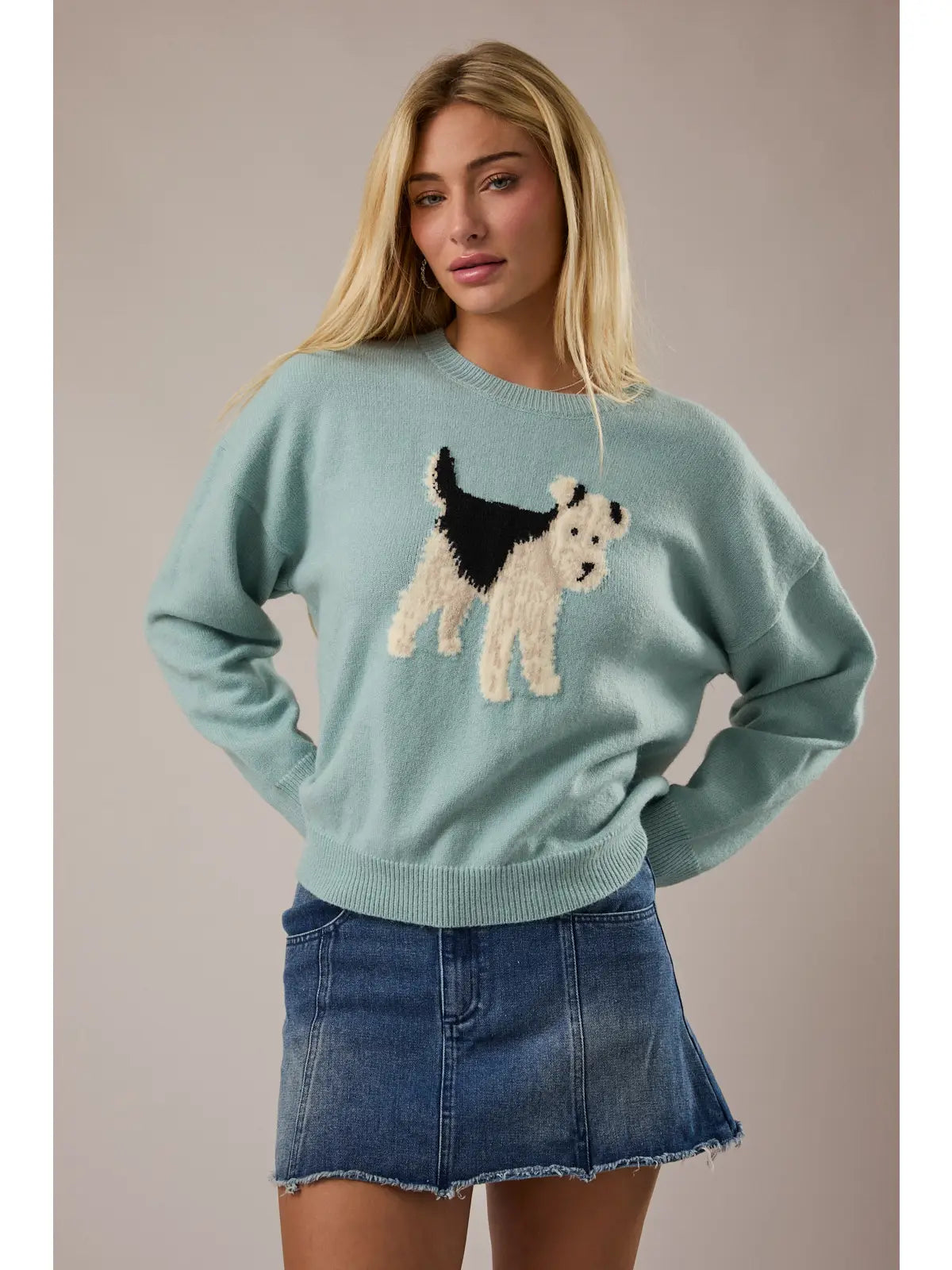 Long Sleeve Crew Neck Fox Terrier Dog Graphic Sweater